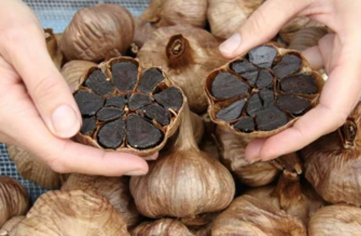 BLACK GARLIC 3 Pcs 4oz (112g) - AJO NEGRO 3 Pcs 4oz (112g)